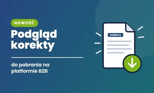Nowość: podgląd korekty do pobrania na platformie B2B